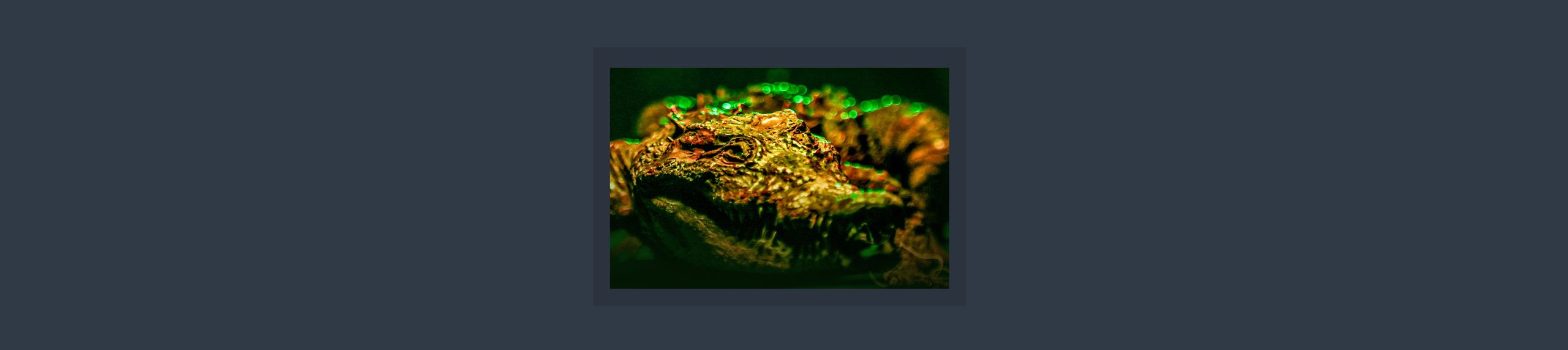 slide 1